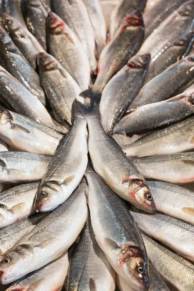 Gros plan sur les poissons exposés dans un marché aux poissons — Photo