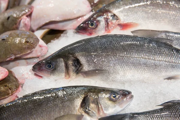 Close up de peixe em exposição em um mercado de peixe — Fotografia de Stock