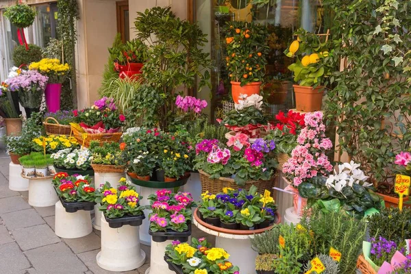 Flowers outside of flower shop — Stock Photo, Image