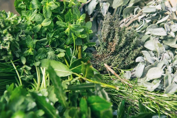 Mix Fresh Herbs Background — Stock Photo, Image