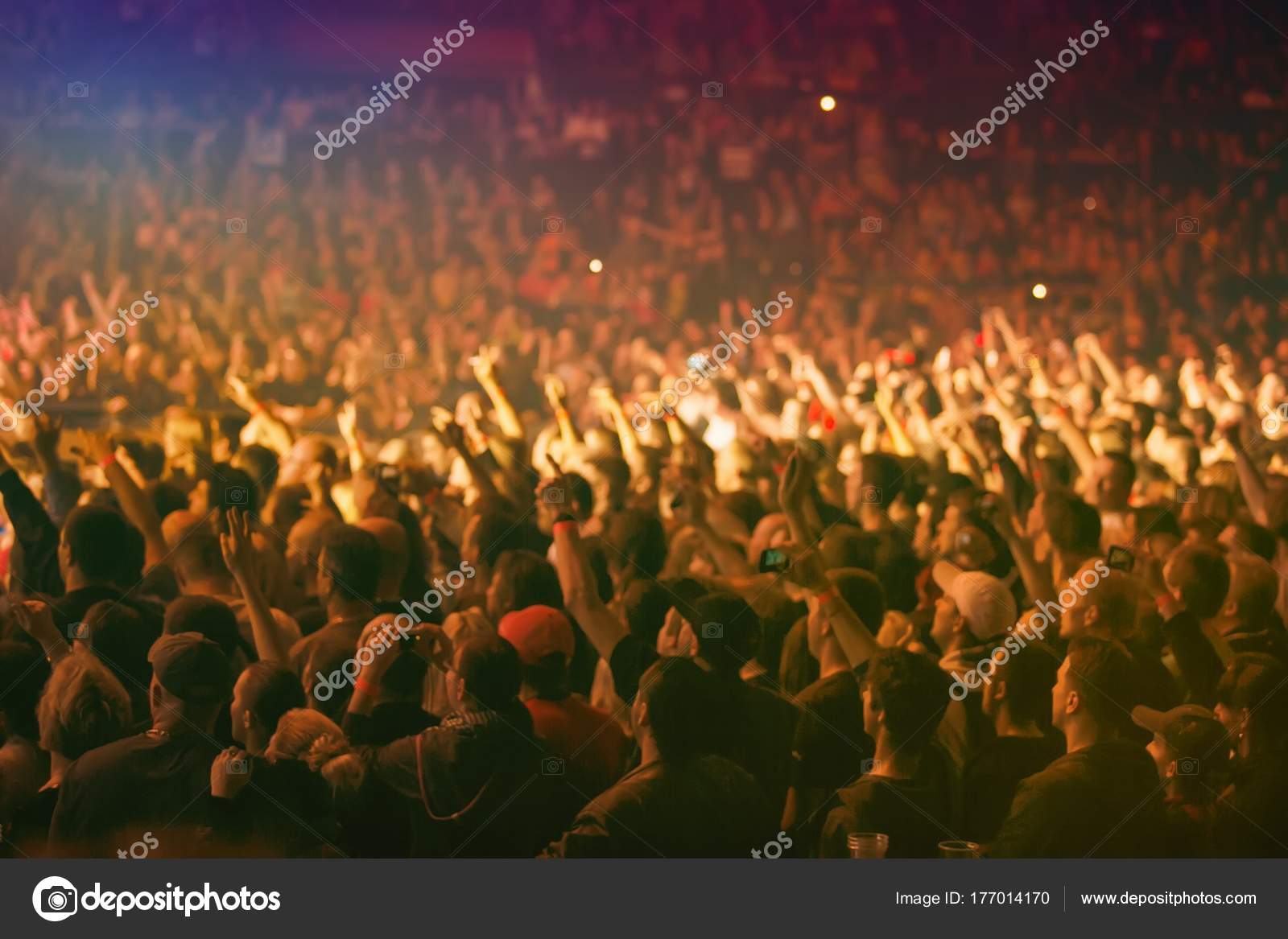 Cheering Concert Crowd
