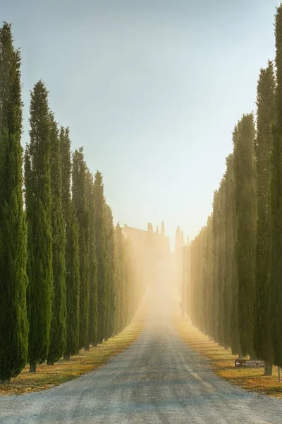 Тосканський краєвид раннього ранку — стокове фото