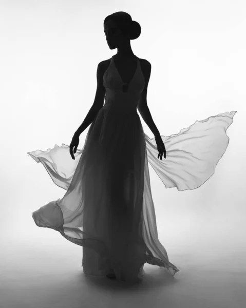 ドレスを吹いて美しいエレガントな女性のアートファッションスタジオの写真 流れるドレスのファッションスタイル — ストック写真