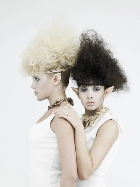 Stilvolles Bild Von Zwei Schönen Jungen Mädchen Elfe — Stockfoto