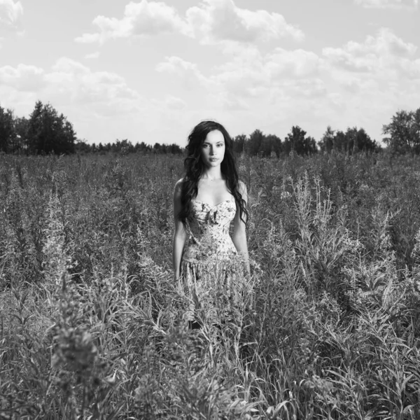 Portrait Beautiful Lady Flower Meadow — Stock Photo, Image