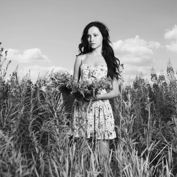 Portrait Beautiful Lady Flower Meadow — Stock Photo, Image