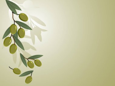 Zeytin dalları ile yeşil arka plan