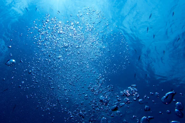 Kabarcık mavi su yüzeye yükselen bir dalgıç dan