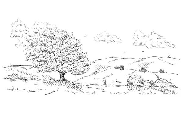 Дерево на ландшафте — стоковый вектор