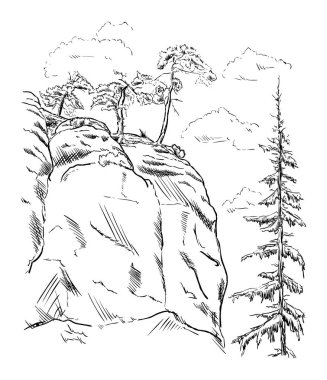 ağaçları ile kaya