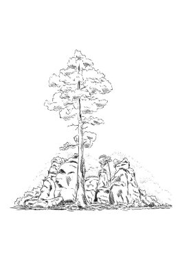  ağaçları ile kaya