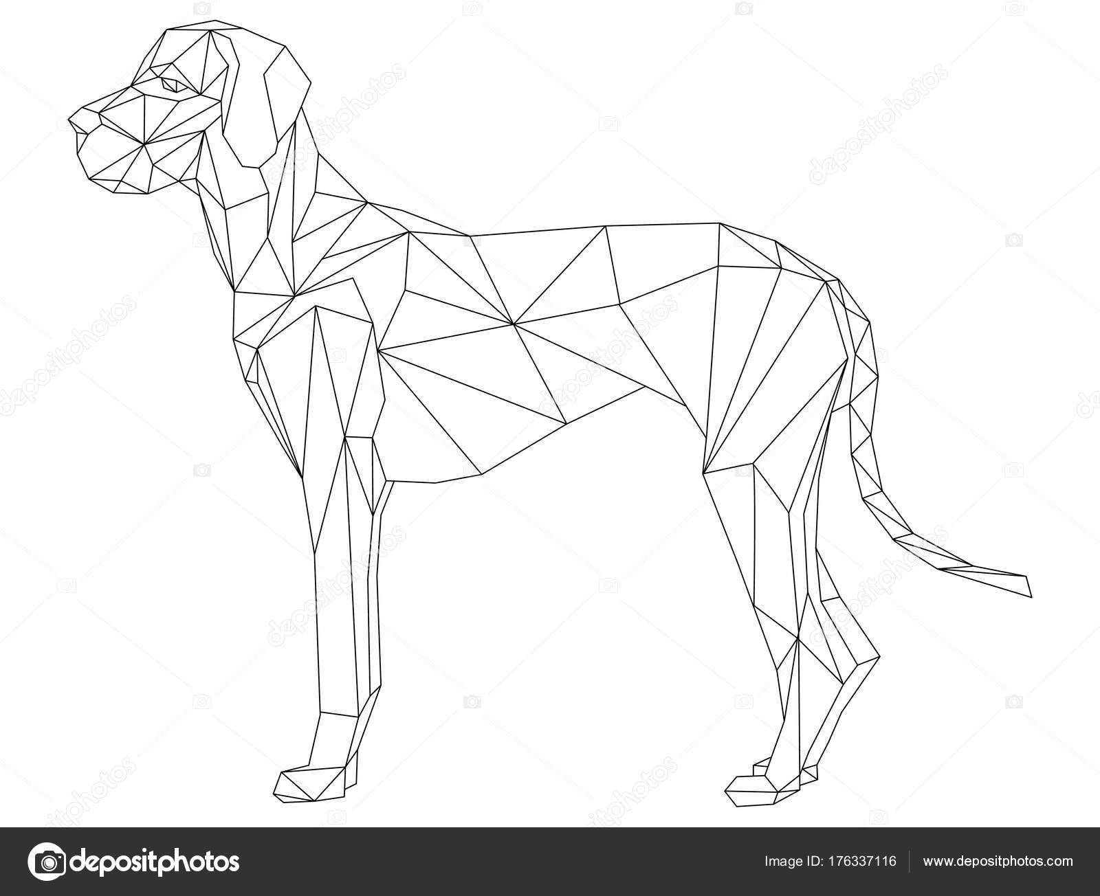 Hund im geometrischen Stil — Stockvektor © pavelmidi 176337116