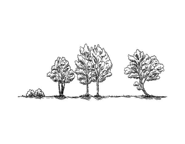 Árboles en el paisaje — Archivo Imágenes Vectoriales