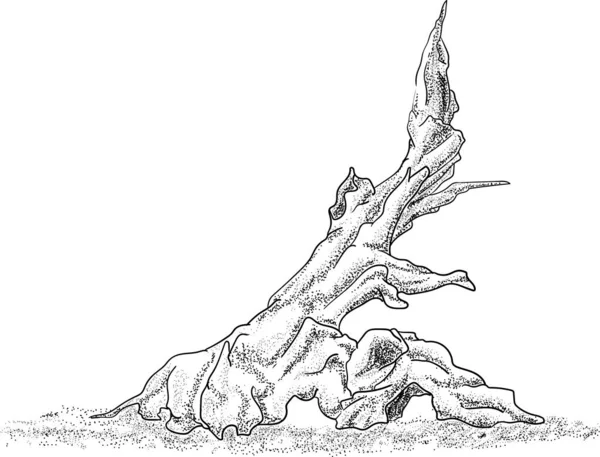 vektör - akvaryum - dekorasyon