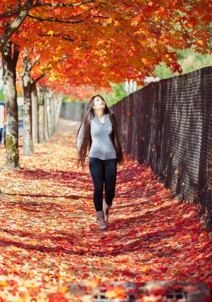 Menina adolescente andando sob dossel de folhas de bordo de outono — Fotografia de Stock