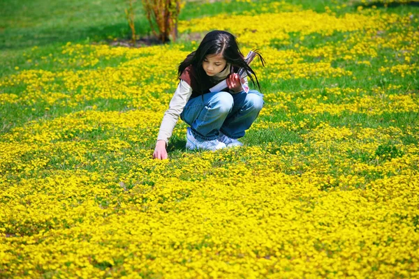 Young girl bending down picking yellow wild flowers — Stok fotoğraf