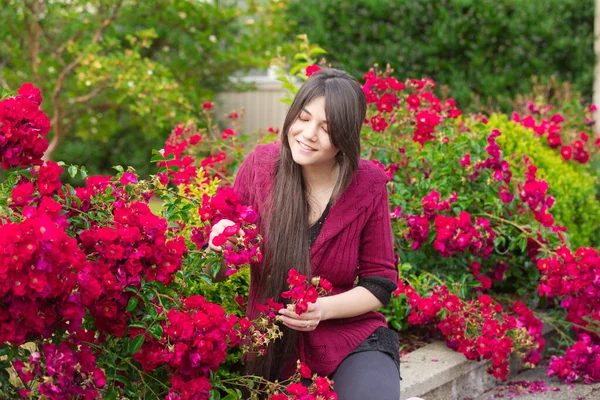 Jovem mulher sentada em arbustos vermelhos rosa colhendo flores — Fotografia de Stock