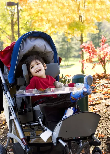Guapo pequeño biracial discapacitado chico en silla de ruedas en el parque —  Fotos de Stock