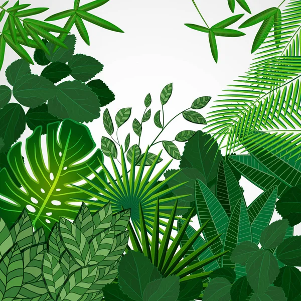 Rahmen aus Blättern auf weißem Hintergrund. Dschungel tropische florale Grenze. — Stockvektor