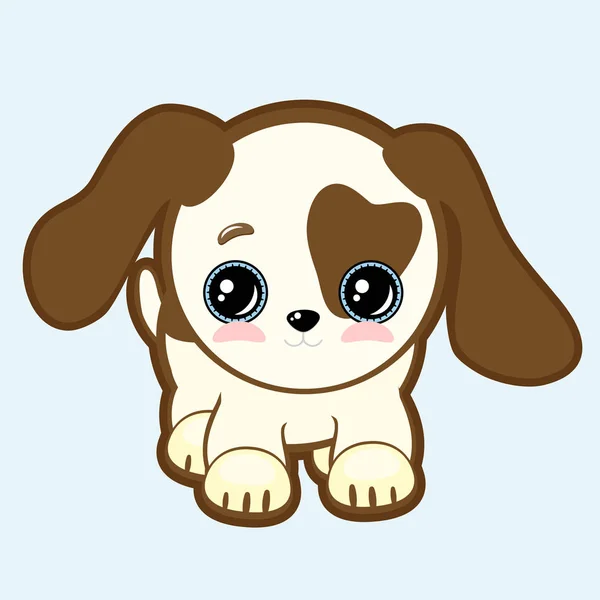 Platte pet kind Platte pet kind