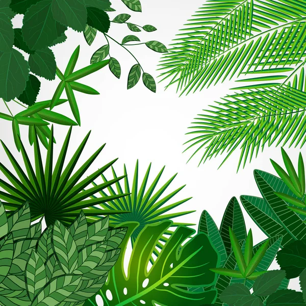 Rahmen aus Blättern auf weißem Hintergrund. Dschungel tropische florale Grenze. — Stockvektor