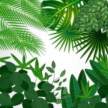 Beyaz bir arka plan üzerinde yaprak çerçeve yaptı. Orman tropikal çiçek sınır.