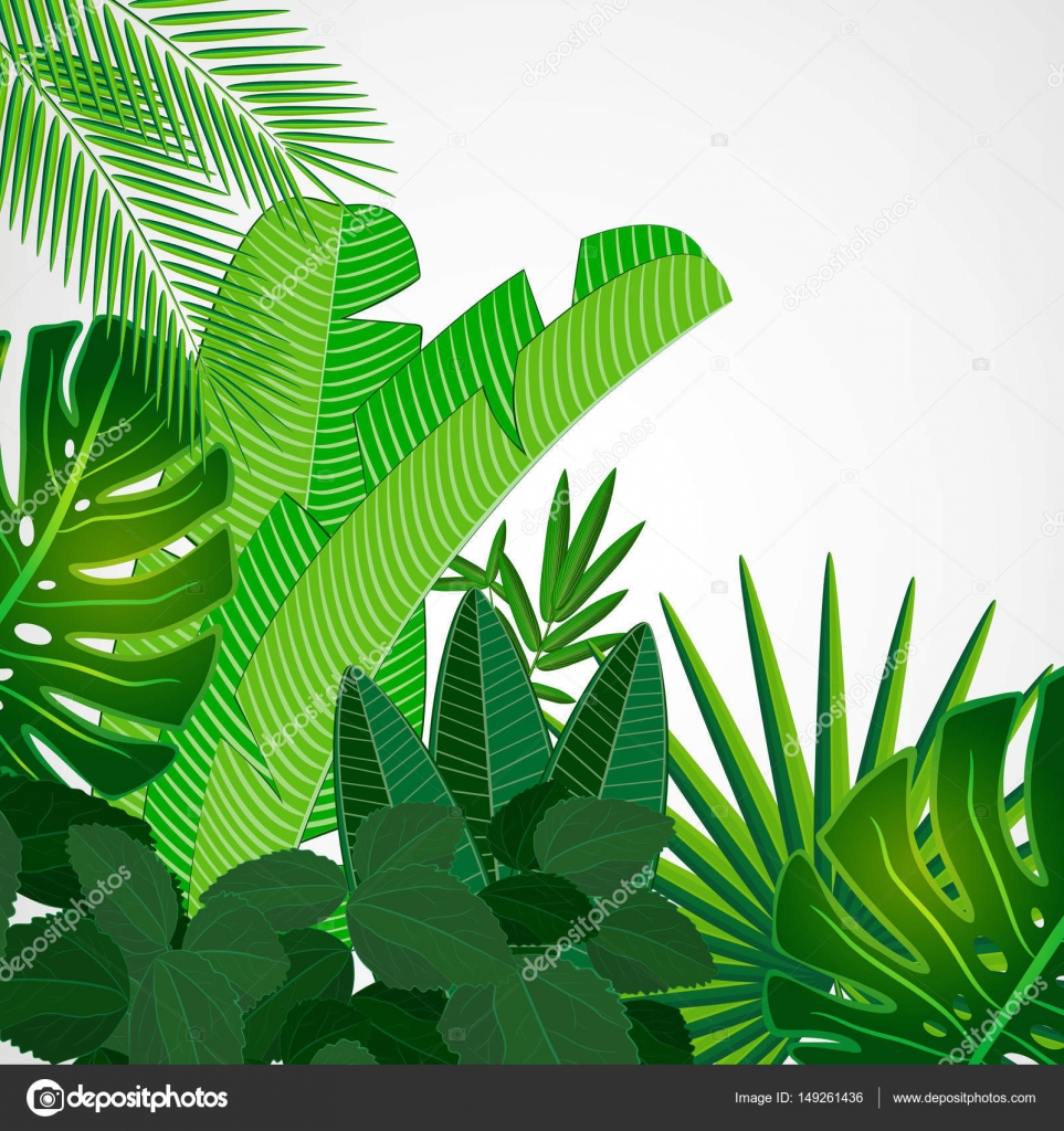 Download Tropical leaves border on isolate background. — Stock ...