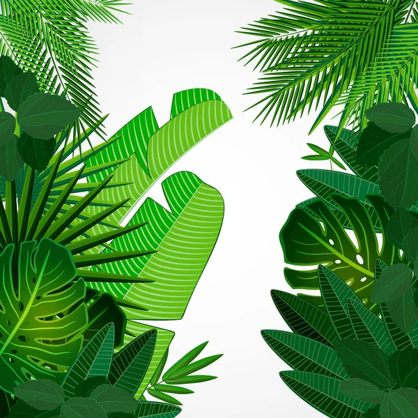 Feuilles tropicales bordure sur fond d'isolat . — Image vectorielle