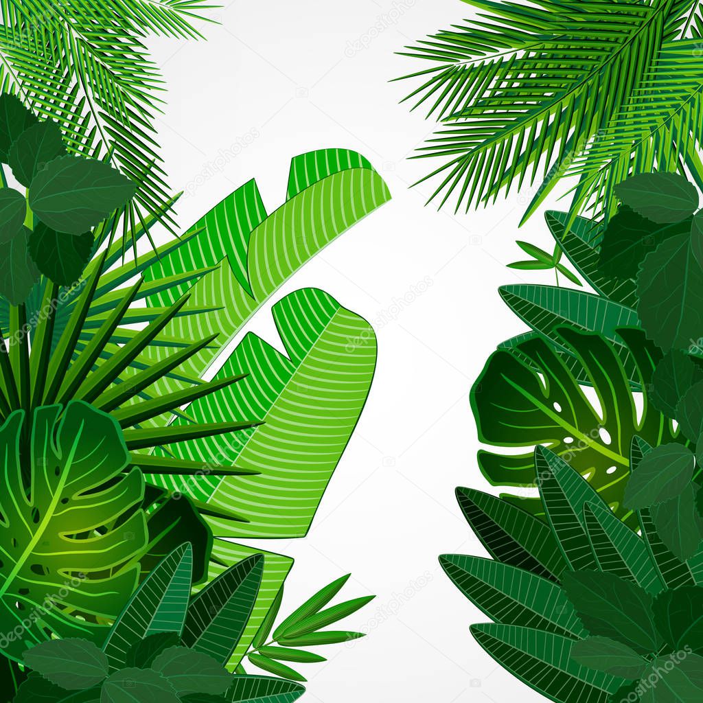 Tropical leaves border on isolate background. 