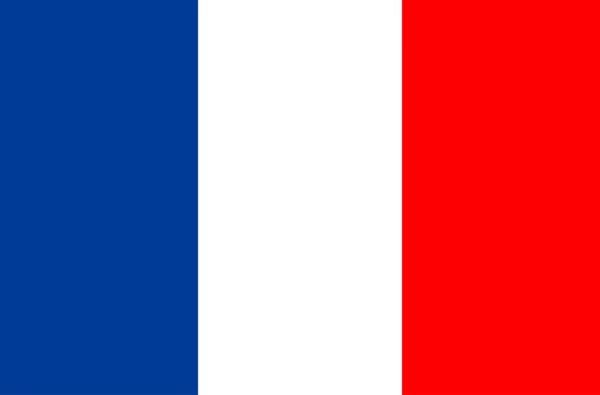 Bandera de Francia. Símbolo del Día de la Independencia, juego de fútbol de recuerdo — Vector de stock