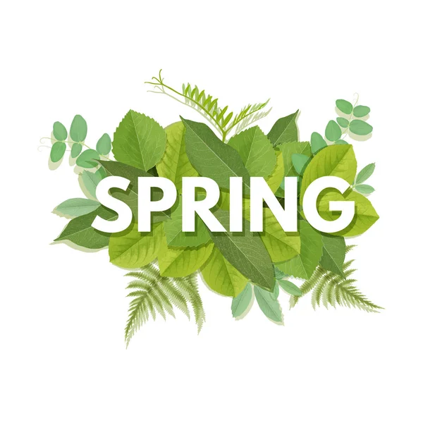 Carta de primavera com folhas — Vetor de Stock