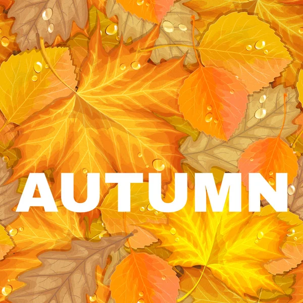 A levelek őszi levél — Stock Vector