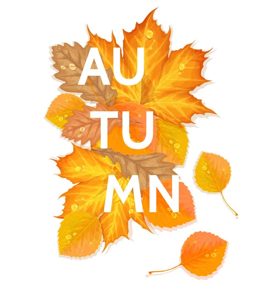 Autumn letter with leaves — Stock Vector