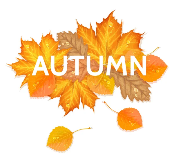 葉と秋の手紙 — ストックベクタ