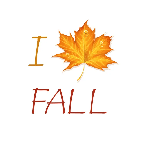 I love fall — Stock Vector