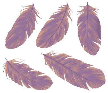 Tüyler elle çizilmiş