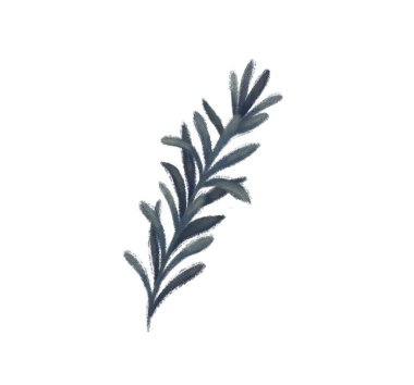 Ağaç dalı. Alan bitki