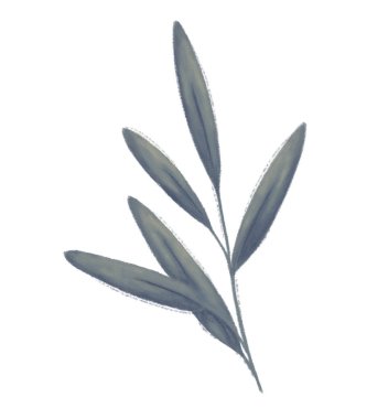 Ağaç dalı. Alan bitki