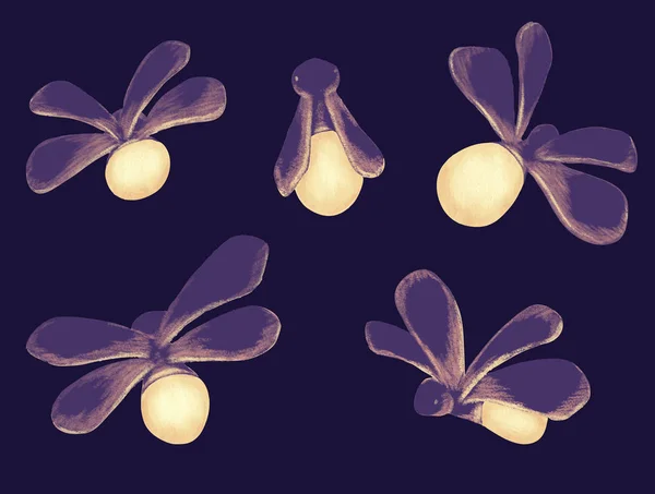 Firefly. Lichtgevende glowworm — Stockvector