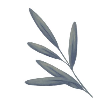 Ağaç dalı. Alan bitki