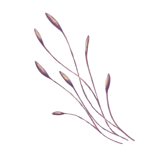 花。フィールドの植物 — ストックベクタ