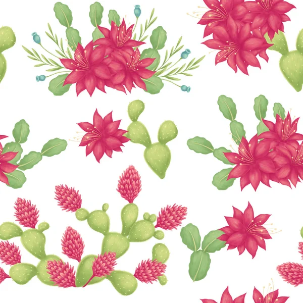 Seamless pattern with succulent — Stock Photo, Image