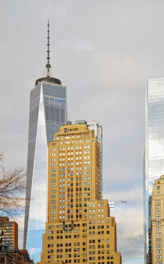 Özgürlük Kulesi, Nyc.