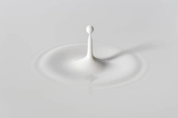 Сплеск молока . — стокове фото