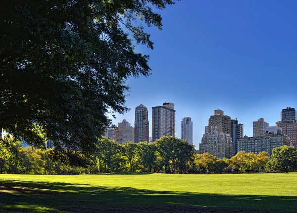 Central Park, Nyc. — Stock fotografie