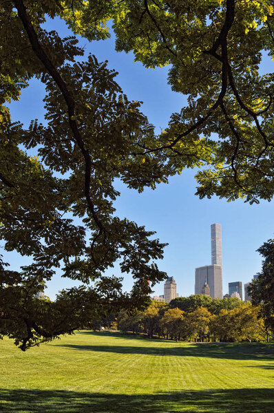 Sheep Meadow in the Central Park, Manhattan, at sunny day.
