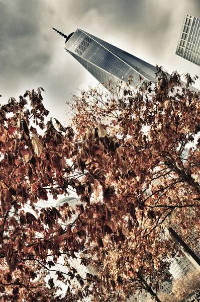 Ground Zero. Autumn. — Stock Photo, Image