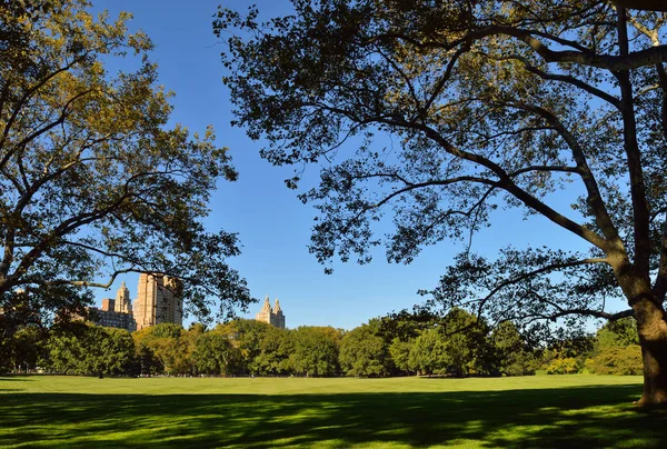 Central Park, New York City. — Stock fotografie