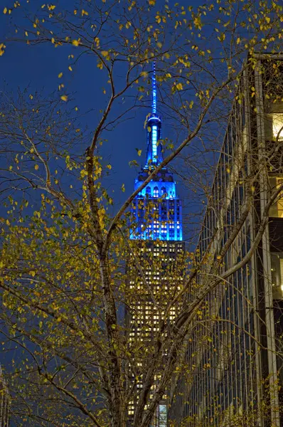 Empire State Building at night. — стоковое фото