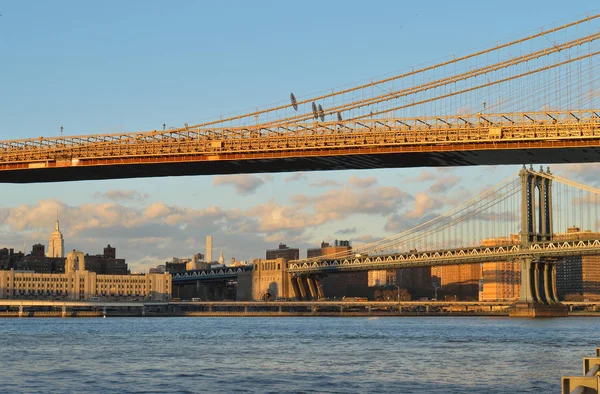 Zwei Brücken in nyc. — Stockfoto